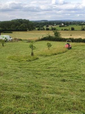 TONTE D'UN VERGER AVEC TRACTEUR TONDEUSE AUTOPORTÉ  DÉBROUSSAILLEUR